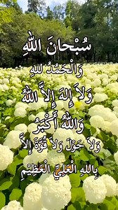 2.5M views · 10K reactions | Tasbeeh  #allahallah #yaallah #quranrecitation #islamic #islamicreels #reelsvideoシ #reelsviral #reelstrending #reelsfypシ #foryouシ | Sarah Sair | Facebook