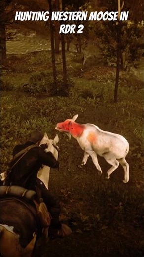 Hunting western moose in rdr 2 #rdr2 #rockstargames #gaming #reddeadredemption #johnmarston