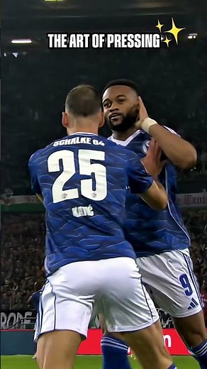 The art of pressing 🥶 #Schalke #S04 #Goal #Football #Fussball #Futbol #Futebol #Tor