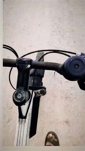 "life is like riding a bicycle. To keep your balance, keep moving"