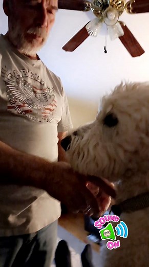 🤍 Coal is very verbal and we love him so much! Our wonderful Vet called with good news and cares about him 🤍 Take a listen to him 😂 | Robin Gump