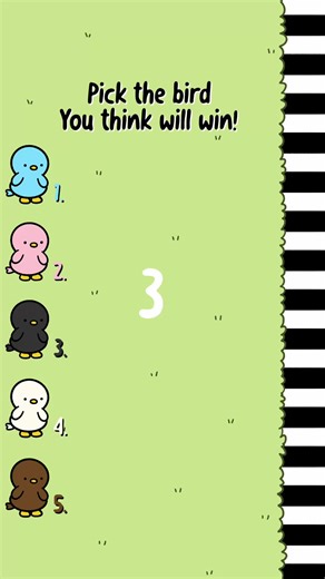 Who Will Win the Bird Race?