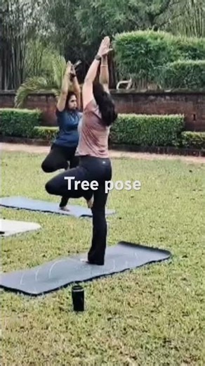 Tree pose🧘‍♂️🧘‍♀️