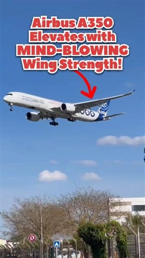 Airbus A350 Elevates with MIND-BLOWING Wing Strength! Meet the Airbus A350, engineered for efficiency. Its dramatically long wings are built from advanced composites, making them light and incredibly strong. They flex in flight, smoothing your journey and fighting drag. The elegantly curved wingtips squeeze out even more performance. It’s a holistic design that lets the A350 fly farther on less fuel, redefining long-haul travel for a new era. #aviation #aircraft #airtravel #aviationgeek #aviatio