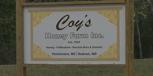 Coast Life: Coy’s Honey Farm buzzing as spring begins to bloom