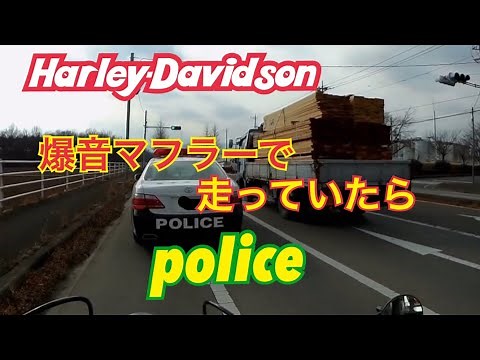 【ハーレー】爆音で散歩してたらポリス