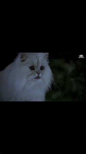 🤯 Stuart Little Music Party 🎉🐭 - Kids Jukebox Collection 🎶 - New Cartoon Ep! This scene is a...