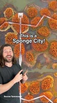 How Sponge Cities help protect against flooding!