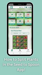 1.2K views · 17 reactions |  From Seed to Transplant Made Easy! ...