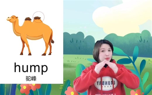 英语儿歌《Alice the camel》教学上