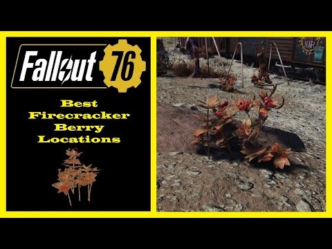 Fallout 76 - Best Firecracker Berry Locations
