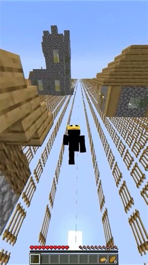 Minecraft Ladder World
