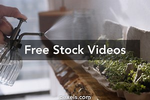 Micro Videos, Download The BEST Free 4k Stock Video Footage & Micro HD Video Clips