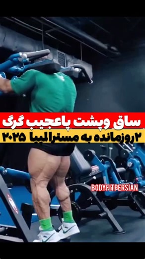 ‎bodyfitpersian news|رسانه بدنسازی‎ | ‎ساق وپشت پاخفن گرگ‌🤯 نظرتون چیه ؟!من دیگه حرفی ندارم 🫡 . . . . . کمترازدوروزمانده ... فالوکنیدتالایو‌باکیفیت وکلیپهای خفن ببین✅...‎ | Instagram