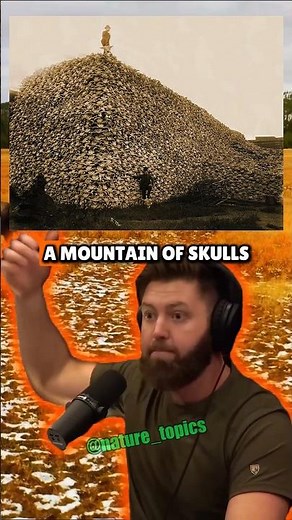 The Tragic Truth Behind the Bison Slaughter | Joe Rogan & Forrest Galante