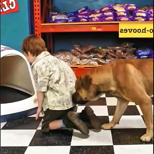 #movie #film #movierecap | movie clips