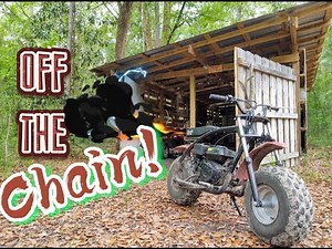 How to tighten chain on Coleman BT200X-B Minibike