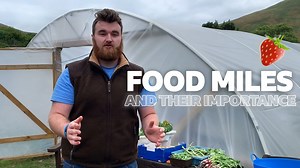 Food Miles and Why They Matter