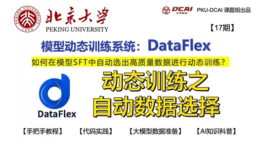 【大白话17】自动数据选择与动态训练