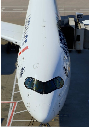 Airbus Deals 24‑Hour Sale: Fly A350, A340, A300 Now