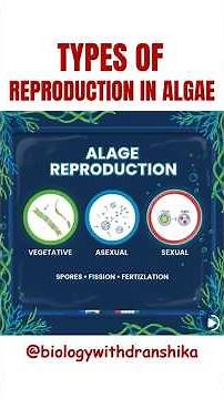 Types of Reproduction in Algae 🌿#types #of #reproduction #algae #plantbiology #neetbiology #botany