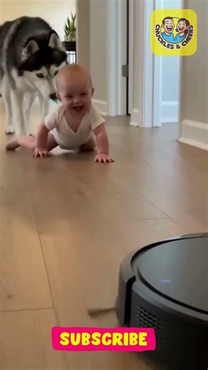The Husky is officially the babysitter! 😂🔥 #shorts