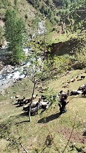 117K views · 3.1K reactions | Natural beauty chenab valley | Beautiful mountain path | Facebook