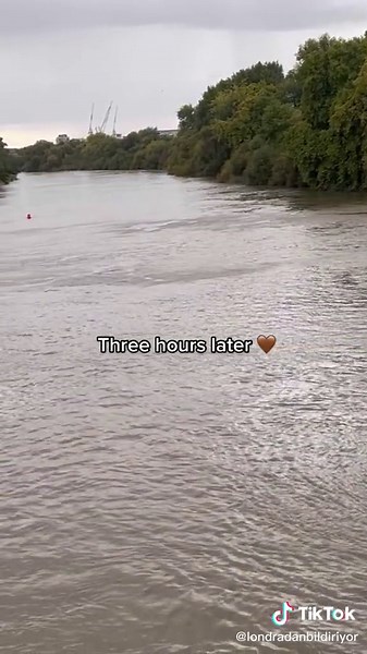 Exploring the Serene Beauty of the Tidal Thames in London