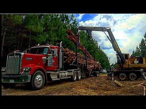 Watching the Knuckle Boom Loaders and Skidders work!