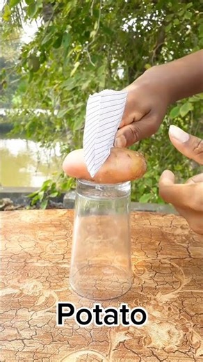 Amazing Potato and Paper easy Experiments
