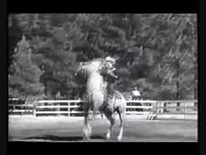Stan Corliss - Roy Rogers Song