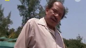 Pan Niania-Hulk Hogan TVRip Lektor PL