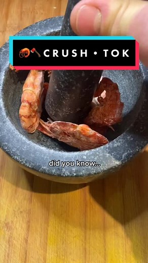 Chefs and Dogs on TikTok