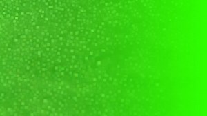 Grüner Bildschirm. Transparenzgefälle. Bokeh-Effekt. Abstrakter Hintergrund: Stockvideos & Filmmaterial (100 % lizenzfrei) 24535598 | Shutterstock