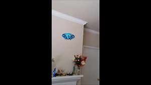 Watch Fun and Interactive UFO for Kids on Amazon Live