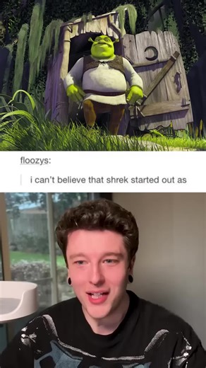 A shrek Movies #Humor #Tumblr #Meme | Fiona From Shrek