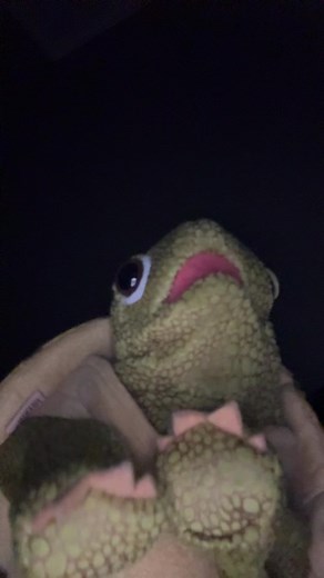 #turtletok
