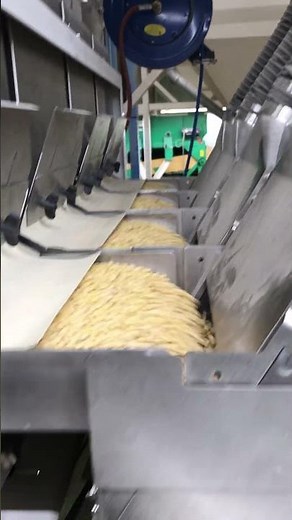 Buhler Seed Color Sorter Sortex-Z