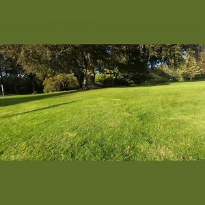 I'm trying to get out to sketch more. It helps when you don't forget your pencil case the first time you film your exploits! | Julie Arbuckle Scottish Artist