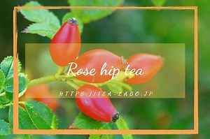 ローズヒップティーの気になる味は?効果・効能、飲み方を解説!副作用や妊娠時の心配事は?