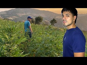 Guest in a Family of Hashish Producers | Morocco