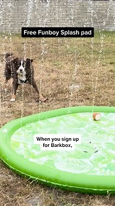 4 comments | Beat the heat with a FREE Funboy splash pad! Sign-up now to get it with your first box of dog joy! | BarkBox | Facebook