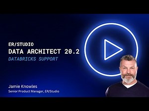 ERStudio 20 2 Integration with Databricks