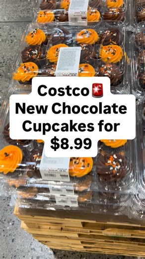 New chocolate cupcakes @costco | Bay Area Explorer