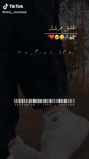 TikTok · Ishq Murshad
