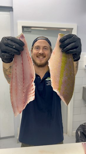 Shallow vs. Deep Skin | Reed_thefishmonger