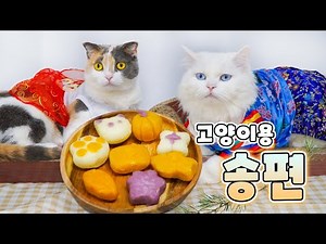 Thanksgiving Day Speical Food for Cats (ENG SUB)