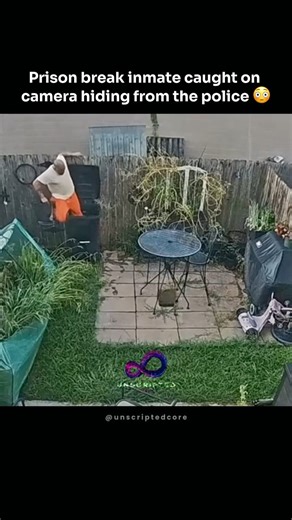 The police dog had just one job! #shorts #hopecore #prisonbreak #police