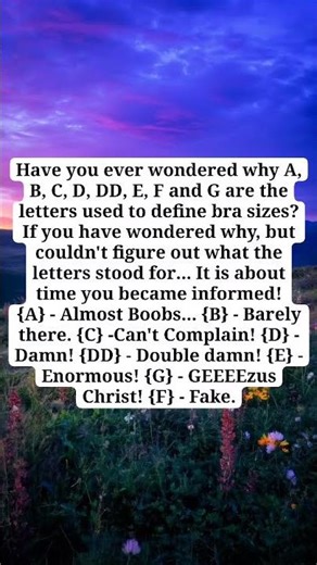 Bra sizes #jokes #funny #youtubeshorts #shorts