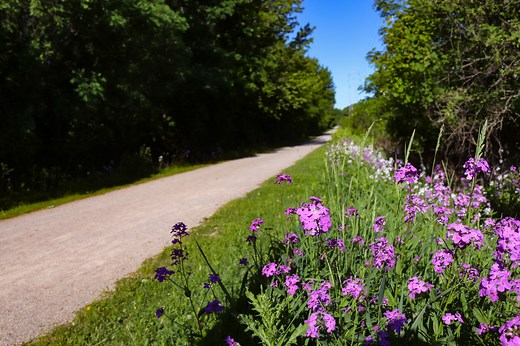 West Bloomfield Trail - WB Parks